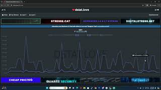 Paradise botnet killing 30 gig dstat Best botnet 2024 slamming all games and servers [upl. by Zilber]