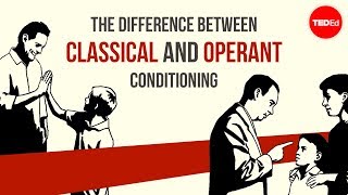 The difference between classical and operant conditioning  Peggy Andover [upl. by Ezitram86]