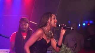 ALAINE live in Vienna 20140922 [upl. by Meador563]