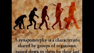 Synapomorphy Definition and Examples [upl. by Atyekram]