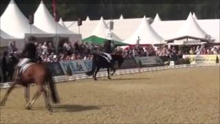 Zikade  Bundeschampionat 2014 Dorothee Schneider [upl. by Hayman231]