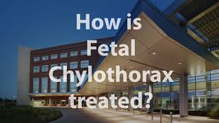 What Is Fetal Chylothorax [upl. by Noevart]