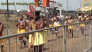 Zulu tribal dance umemulo Part 5 [upl. by Grosz]