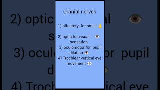 Cranial nerves studywithvani subscribe viralvideo [upl. by Rosanna]