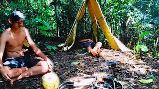 8 Abad Solo Camping di Borneo Forest  Terkapar Minum buah kelapa Beracun [upl. by Mercuri]