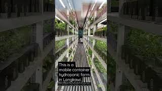 Hydroponic vegetable farm in Westin Langkawi [upl. by Myers128]