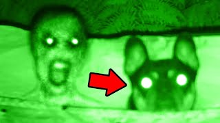 Top 5 SCARY Ghost Videos  Prepare to Be TERRIFIED [upl. by Valentijn388]