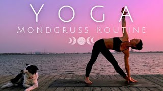 Mondgruß Routine │ Yoga für Anfänger │ 15 Minuten │Yoga für den Abend │ mit Musik [upl. by Ailyt]