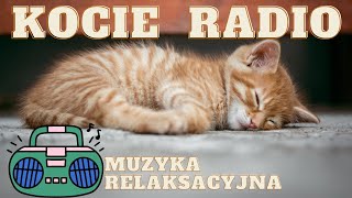 KOCIE RADIO  muzyka relaksacyjna dla kota kotków kotów Twój kot szybko zaśnie przy tej muzyce [upl. by Amelus]