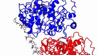 Microtubule regulator [upl. by Ashlee]