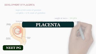 Placenta  NEET PG notes [upl. by Bianka]