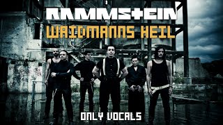 Rammstein  Waidmanns Heil Only Vocals [upl. by Piotr]