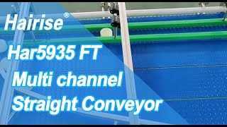 Hairise 5935 multilane mesh belt conveyor [upl. by Allin]