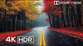 Most Relaxing 4K Video Ever 60fps HDR Dolby Vision [upl. by Nauaj108]