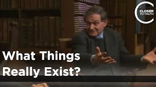 Roger Penrose  What Things Really Exist [upl. by Auoh]