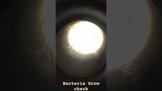 Biological tank Bacteria check ETP [upl. by Morgana]