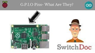 What Are GPIO Pins or General Purpose Input Output Pins [upl. by Menell489]