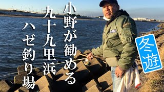 小野がお勧めする九十九里浜のハゼ釣り場と冬のハゼ釣り [upl. by Zorina837]