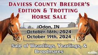 Sale of Weanlings Yearlings amp Broodmares  2024 Daviess County Breeders Edition amp Trotting Sale [upl. by Pollitt]