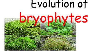 Plant evolution  bryophytes evolution [upl. by Terej]