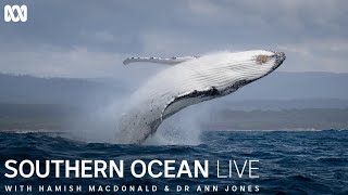 Southern Ocean Live  First Look [upl. by Bedwell]