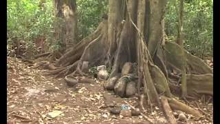 BAFOUSSAM SITES TOURISTIQUES [upl. by Tnirb]