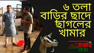 রাজধানী ঢাকায় বাড়ির ছাদে আধুনিক ছাগলের খামারকরে সফলতা  Sagoler khamar  Goat farming in dhaka [upl. by Deanne]