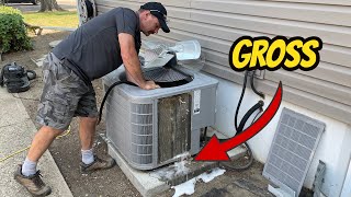 How To Clean Your Air Conditioner Condenser [upl. by Marcie440]