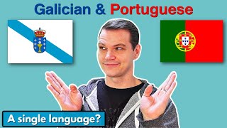 Galician vs Portuguese How SIMILAR are they [upl. by Eelyma]