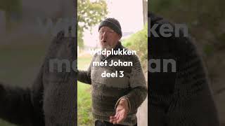 🌿 Wildplukken met Johan  Deel 3🌿 [upl. by Lorsung]