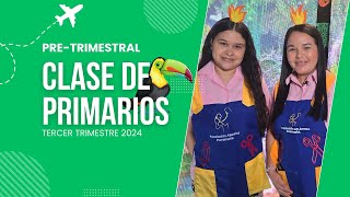 CLASE DE PRIMARIOS  TERCER TRIMESTRE 2024 [upl. by Elmaleh235]