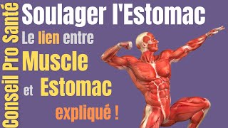 Soulager lESTOMAC Partie 3 par activation musculaire [upl. by Oeflein161]