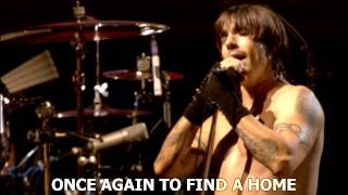 Venice Queen  Red Hot Chili Peppers  Live at Slane Castle with subtitles [upl. by Ostler305]