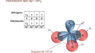 TEMA 3 Enlace Químico Hibridación [upl. by Nyleuqaj224]