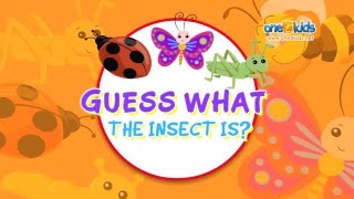 Guess What The Insect Is Zaky Game [upl. by Katine]