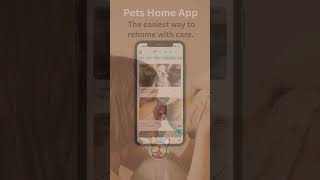 Rehome Your Pet Effortlessly with Pets Home App  Perfect for Busy Lives [upl. by Regazzi]