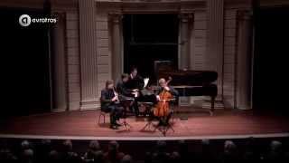 Beethoven Klarinettrio op 11 Gassenhauer Live concert HD [upl. by Lussi]