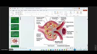 Introduction To Nephrology [upl. by Beauvais]