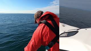 Small boat anchoring with lazy line and Alderney ring retrieval [upl. by Cornew115]