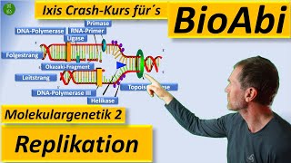 Molekulargenetik 2 DNAReplikation  Anwendungsaufgaben Schritt für Schritt erklärt Fit fürs BioAbi [upl. by Assyle]