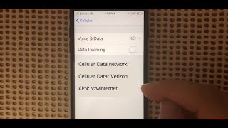 Verizon APN Settings for iPhone  Add LTE 4G APN for Verizon [upl. by Yrrehc]