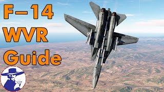 DCS F14A WVR Guide  How to Sparrow amp Sidewinder in F14  DCS Cold War Multiplayer Guide [upl. by Adnar635]