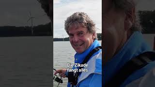 Zikade geht immer 😎 zeckfishing hechtangeln hecht [upl. by Yetti]