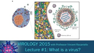 Virology 2015 Lecture 1  What is a virus [upl. by Cerallua]