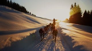 Souvenirs partagés… avec un musher aux Saisies [upl. by Aliel]