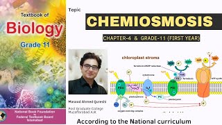 Chemiosmosis amp Synthesis of ATP  Biology  Grade 11 Federal Board Pakistan 2024 [upl. by Erdei]