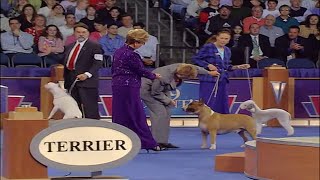 2005 AKCEukanuba National Championship Terrier Group Final [upl. by Anidene938]