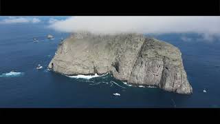 Diving in Malpelo Colombia 06072023 [upl. by Gorga235]