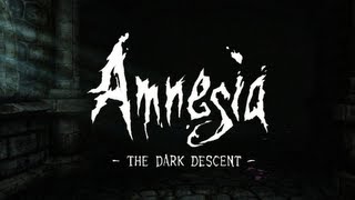 Amnesia All Diaries and Flashbacks [upl. by Dlarej]