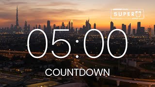 5 MINUTE Timer ⏱️  Relaxing LoFi Music and Alarm  🎶 timer countdown [upl. by Liagabba]